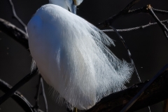 20260131-_V6A4328-2-Topaz